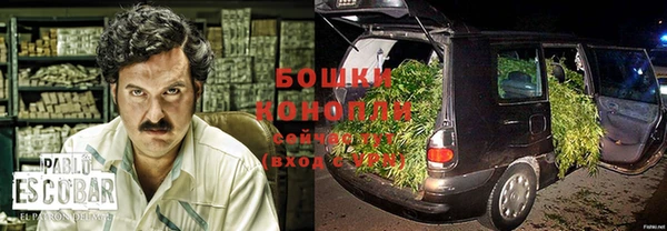 spice Алексин
