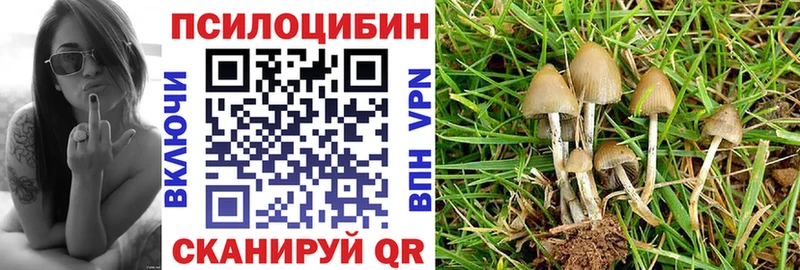 Галлюциногенные грибы ЛСД  гидра зеркало  Алексеевка 